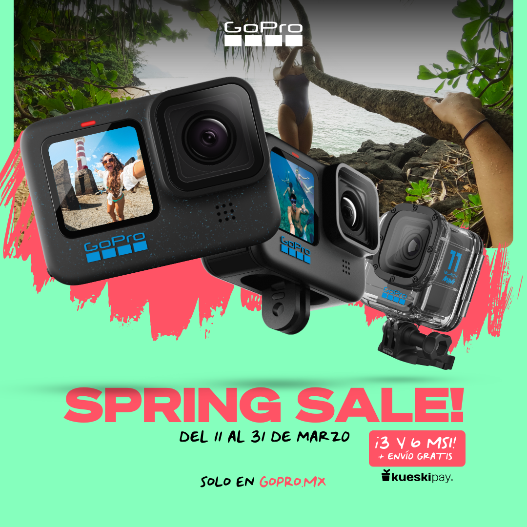 Creativo Feed NEFER Studio