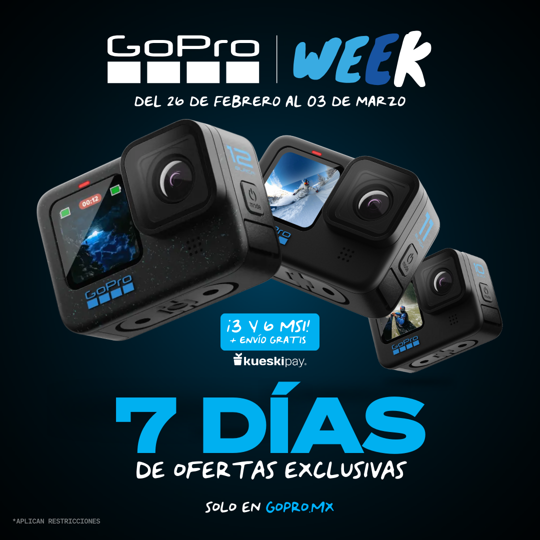 Creativo Feed NEFER Studio