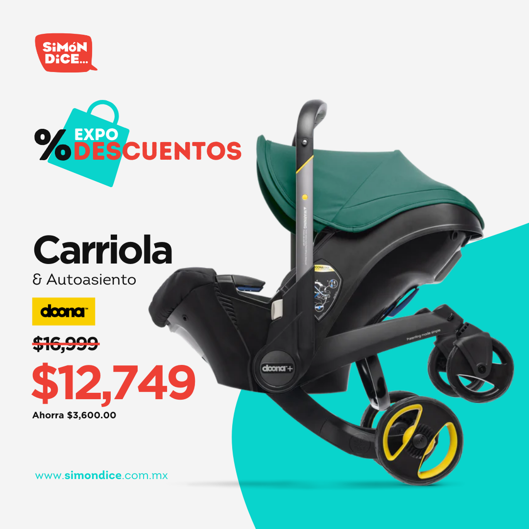 Creativo Feed NEFER Studio